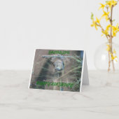 Frogs, Grandson Birthday カード (黄色い花)