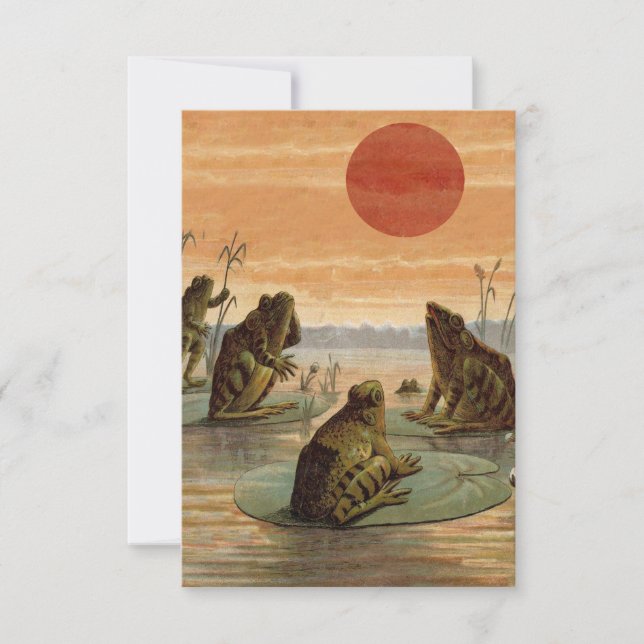 Frogs Lily Pads Moon Illustration (正面)