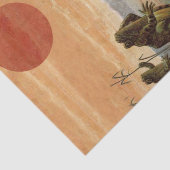 Frogs Lily Pads Moon Illustration 薄葉紙 (詳細)