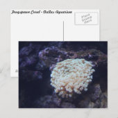 Frogspawn Coral # 1 ポストカード (正面/裏面)