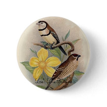 Frohawk - Bichenoのフィンチ及びさくらんぼのフィンチ