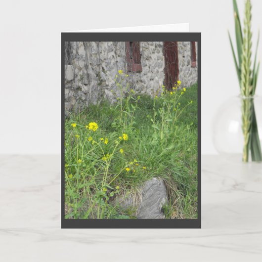 。.from親。 3 シーズンカード (正面)