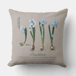 From our perennial garden. クッション