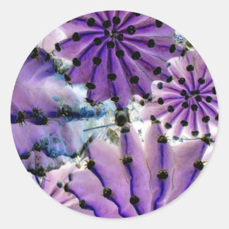 From Space ラウンドシール