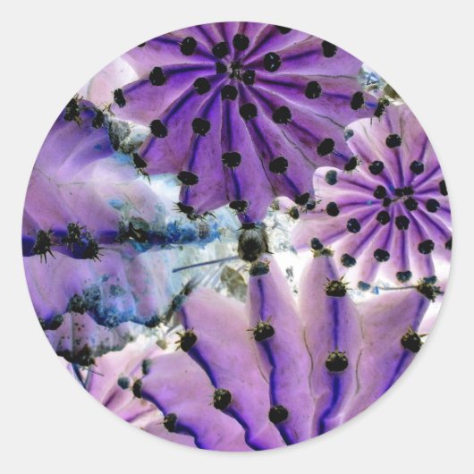 From Space ラウンドシール (正面)