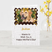 From the Dog Mother's Day in Brown and金ゴールド カード (黄色い花)