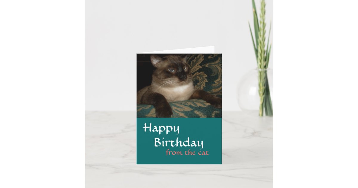 From Your Cat シャム猫の誕生日カード カード Zazzle Co Jp