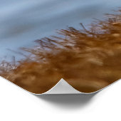 Front Row Seat ポスター (角)