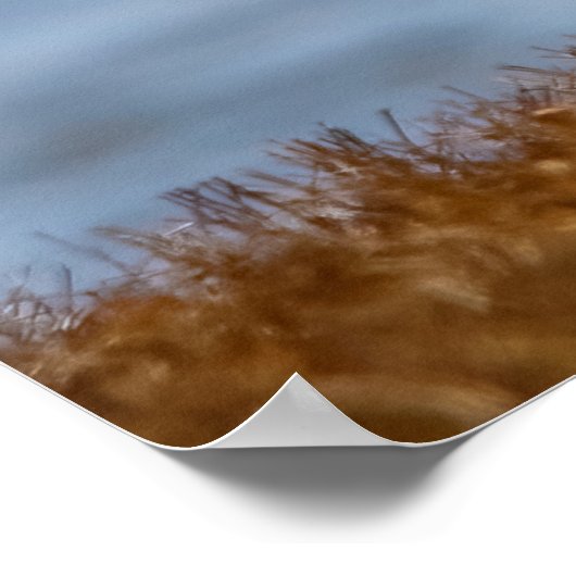 Front Row Seat ポスター (角)