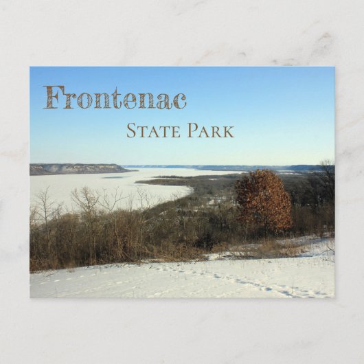 Frontelac SP, MNの湖ピピンの冬の景色 ポストカード (正面)