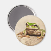 FROSCH マグネット (正面/裏面)