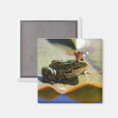 Froschkönig マグネット (正面/裏面)