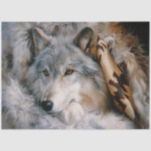 Frosted Lodge Grey Wolf Portrait 薄葉紙 (正面)
