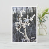  „Frostpoesie – Einladung mit Raureif-Zweig“ カード (スタンド正面)