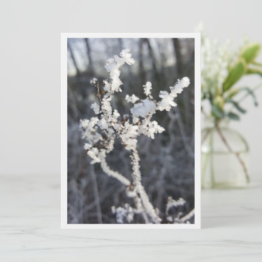  „Frostpoesie – Einladung mit Raureif-Zweig“ カード (スタンド正面)