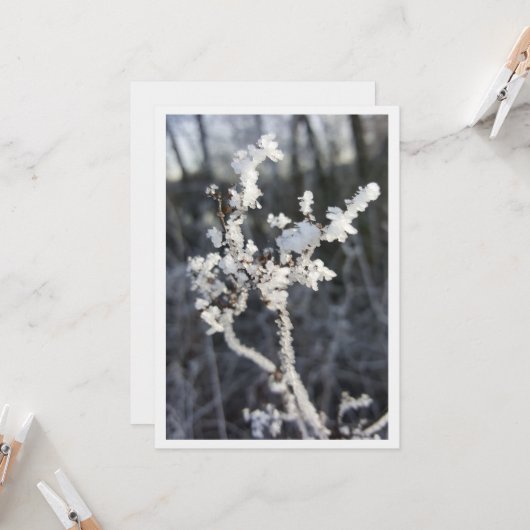 „Frostpoesie – Einladung mit Raureif-Zweig“ カード (正面/裏面インサイチュ)