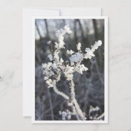  „Frostpoesie – Einladung mit Raureif-Zweig“ カード