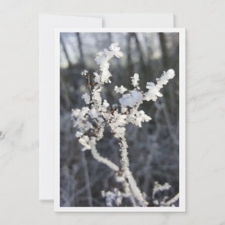  „Frostpoesie – Einladung mit Raureif-Zweig“ カード