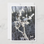  „Frostpoesie – Einladung mit Raureif-Zweig“ カード (正面)