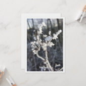  „Frostpoesie – Einladung mit Raureif-Zweig“ カード (正面/裏面インサイチュ)