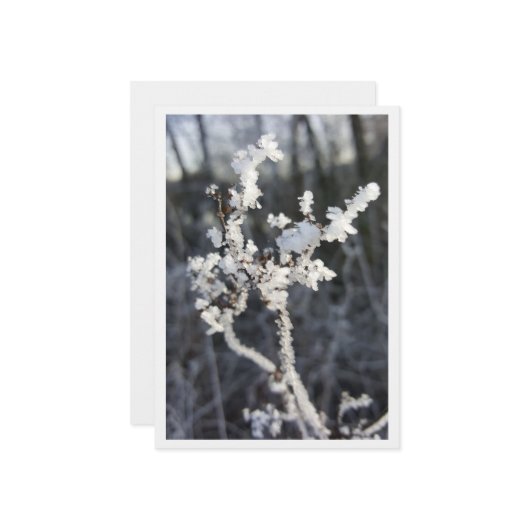  „Frostpoesie – Einladung mit Raureif-Zweig“ カード (正面/裏面インサイチュ)