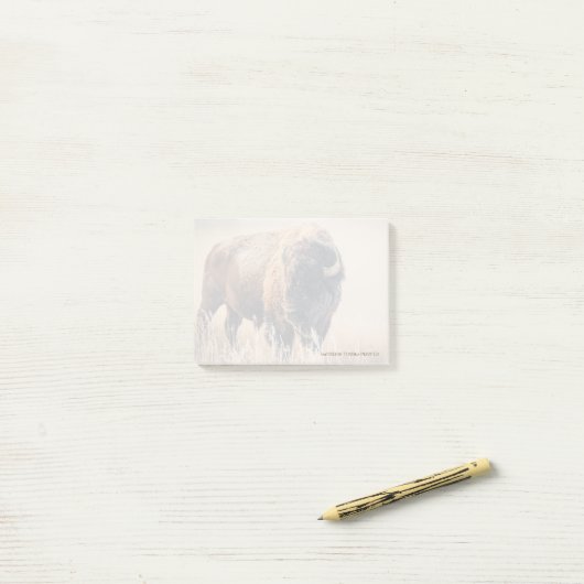 Frosty Morning - 3" x 4" Post-it Notes ポストイット (デスク上)