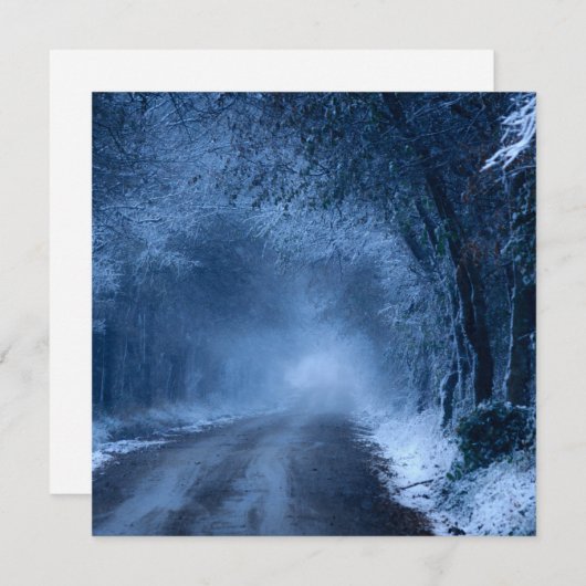 Frozen (正面/裏面)