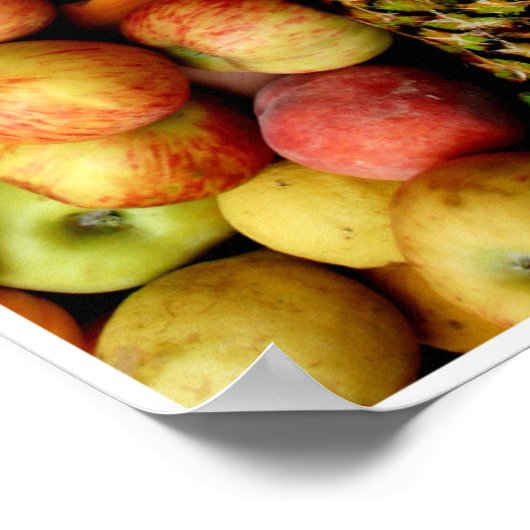 Fruits by Johannes Stötter ポスター (角)