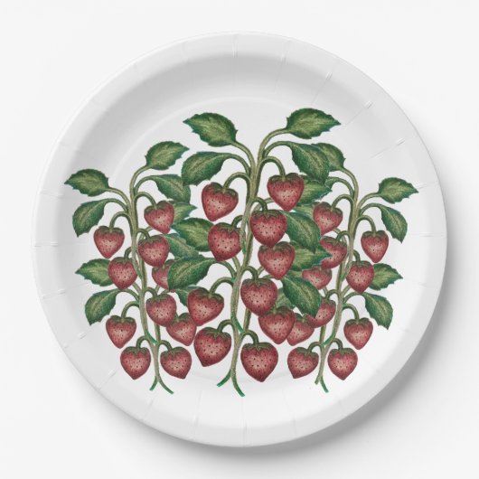 Frutillas  ペーパープレート (正面)