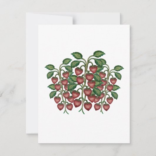 frutillas 招待状 (正面)