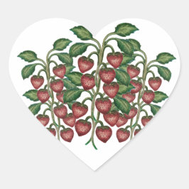 Frutillas corazón ハートシール