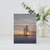 Ftでの冬の夕日。ウェインライト ポストカード (スタンド正面)