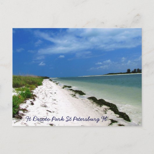 FtデソトサンクトペテルブルクFlはがき ポストカード (正面)