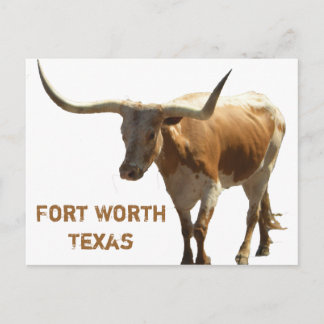 Ft Worth Longhornポストカード ポストカード