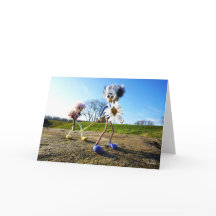 Fubby die madeliefjes plukken.