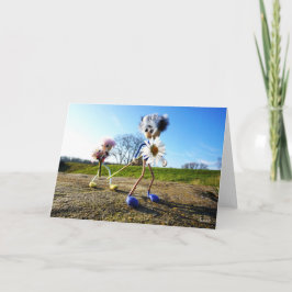 Fubby die madeliefjes plukken. サンキューカード