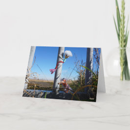 Fubby fantasie, op de vlucht voor een dier. サンキューカード