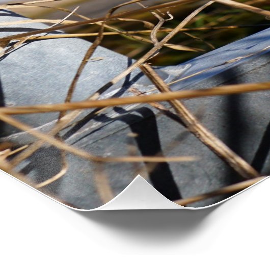 Fubby fantasie, op de vlucht voor een dier. ポスター (コーナー)