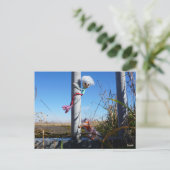 Fubby fantasie, op de vlucht voor een dier. ポストカード (スタンド正面)