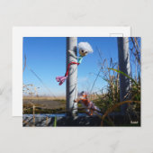 Fubby fantasie, op de vlucht voor een dier. ポストカード (正面/裏面)