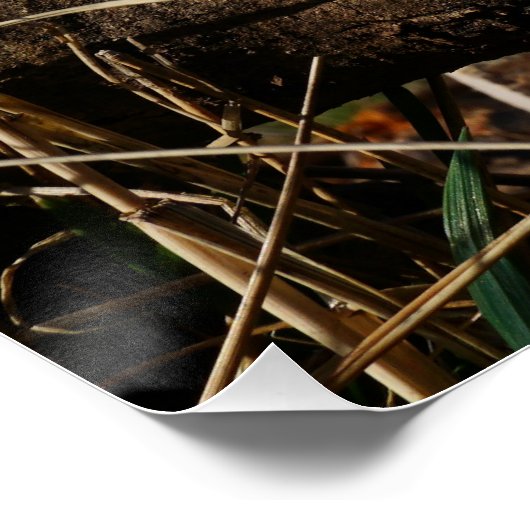 Fubby paartje dat romantisch verliefd zitten. ポスター (コーナー)