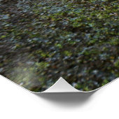 Fubby poppetje dat in een muur zit. ポスター (コーナー)