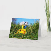 Fubby poppetjes die dansen in het gras. サンキューカード (正面)