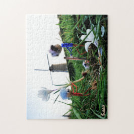 Fubby's bij een molen planten een krokus bol. ジグソーパズル