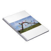 Fubby's die aan het Skaten zijn. ノートブック (右側)