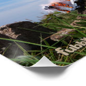 Fubby's die aan het Skaten zijn. ポスター (コーナー)