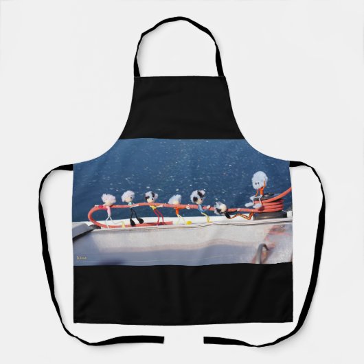 Fubby's die een lijn lieren van een Zeilboot. エプロン (正面)
