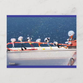 Fubby's die een lijn lieren van een Zeilboot. ポストカード