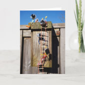 Fubby's die een vogelhuis beklimmen. カード (正面)