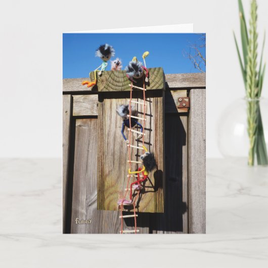 Fubby's die een vogelhuis beklimmen. カード (正面)